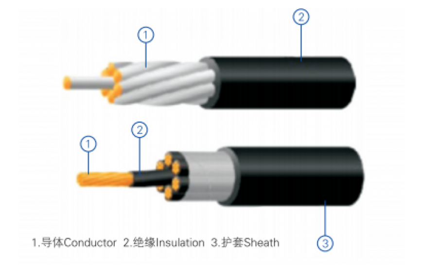 Irradiated cross-linked polyolefin insulated wire